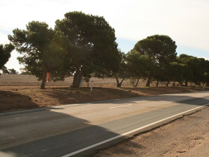 Lots 103 & Main Coast Road, Pine Point SA 5571