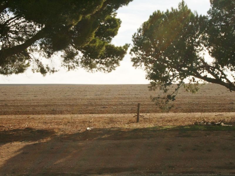 Lots 103 & Main Coast Road, Pine Point SA 5571