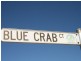 14 Blue Crab Court, Ardrossan SA 5571