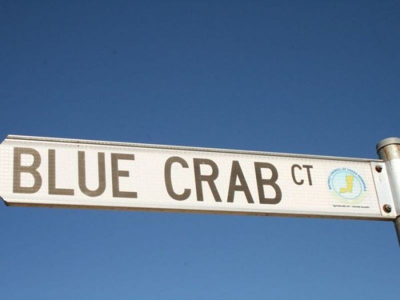 14 Blue Crab Court, Ardrossan SA 5571