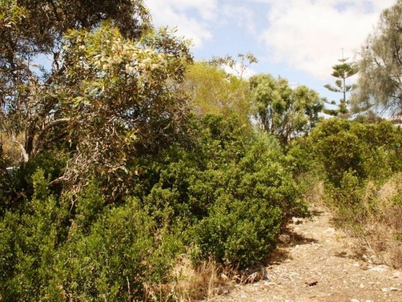 9 Adonis Court, Port Julia SA 5575