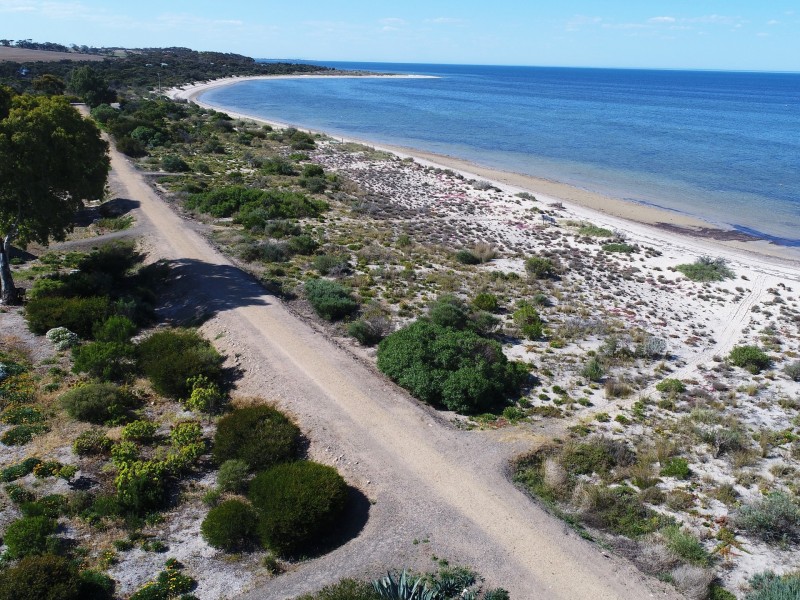 6 Grundy Street, Sheaoak Flat SA 5581