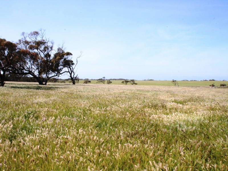 Lot 16 Bublacowie Road, Yorketown SA 5576
