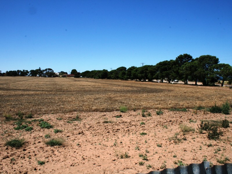 42 Main Coast Road, Pine Point SA 5571