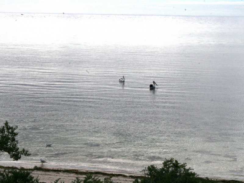 5 Oyster Point Drive, Stansbury SA 5582