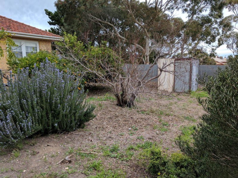 23 Alice Street, Maitland SA 5573