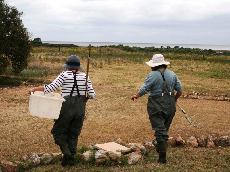 30 James Well Road, James Well SA 5571