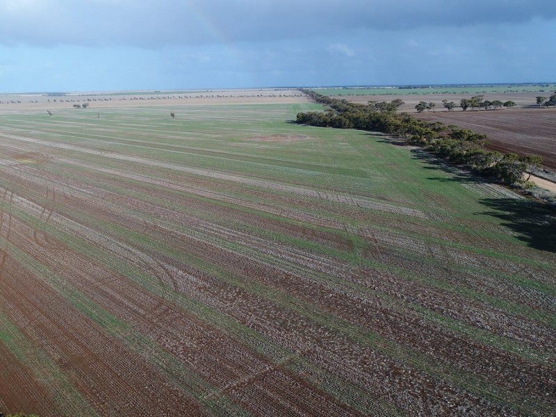 Lot 92 Slant Road, Dowlingville SA 5555