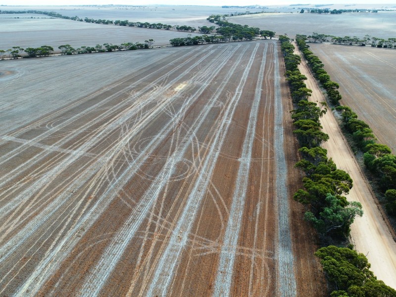 Lot 92 Slant Road, Dowlingville SA 5555