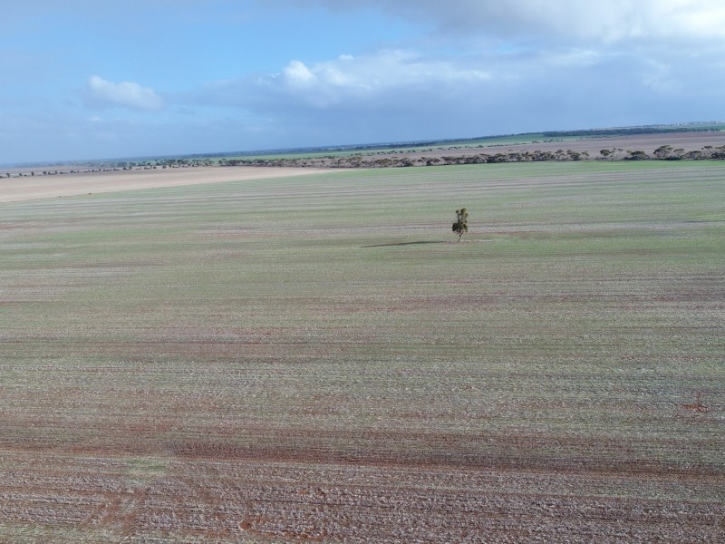 Lot 92 Slant Road, Dowlingville SA 5555