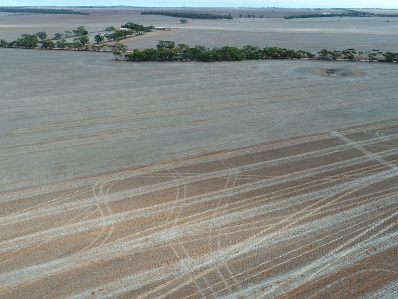 Lot 92 Slant Road, Dowlingville SA 5555