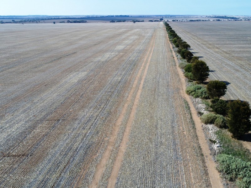 Lot 92 Slant Road, Dowlingville SA 5555