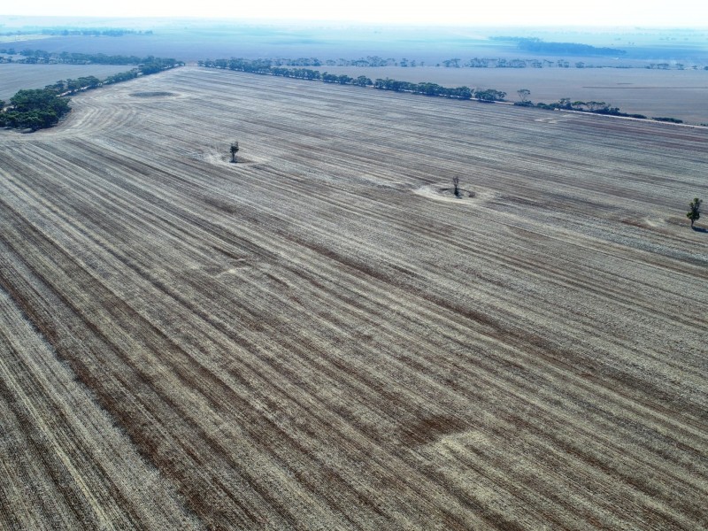 Lot 92 Slant Road, Dowlingville SA 5555