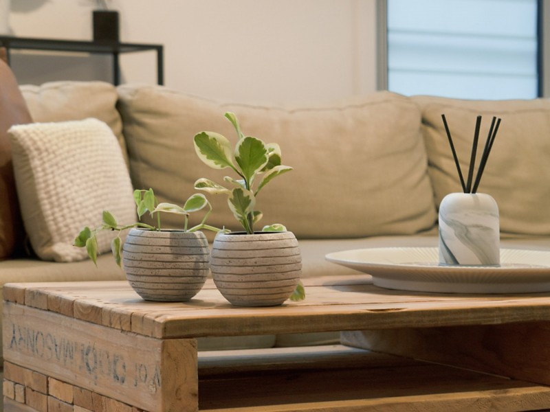 44 Surf Rider Avenue, North Avoca NSW 2260