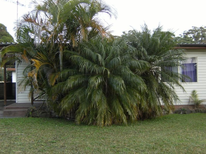 17 Watson Avenue, Tumbi Umbi NSW 2261