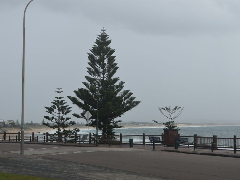 1/56-58 Ocean Parade, The Entrance NSW 2261