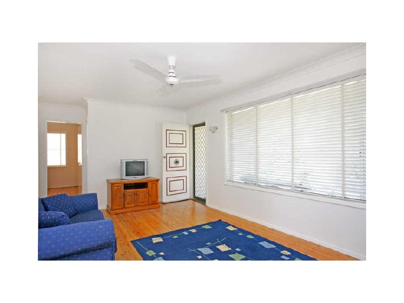 Shelly Beach NSW 2261