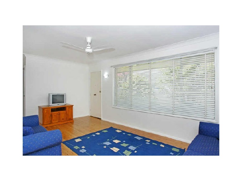 Shelly Beach NSW 2261