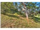 20 Mossman Avenue, Bateau Bay NSW 2261