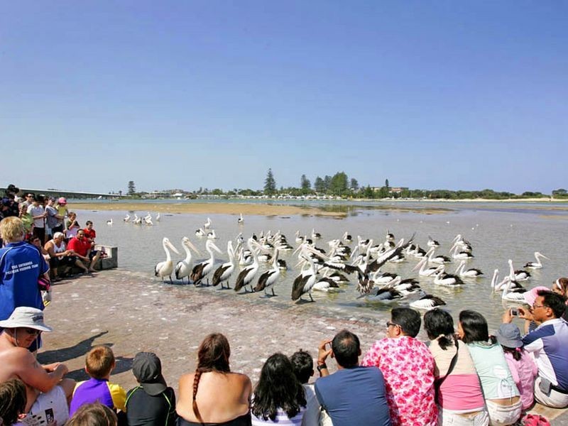 25/28-32 Ocean Parade, The Entrance NSW 2261