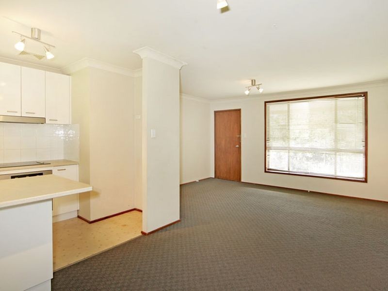 29 Pindarri Avenue, Berkeley Vale NSW 2261