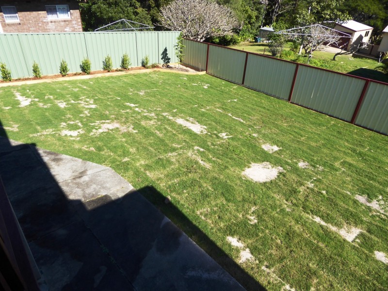 6 Clarence Street, Maclean NSW 2463