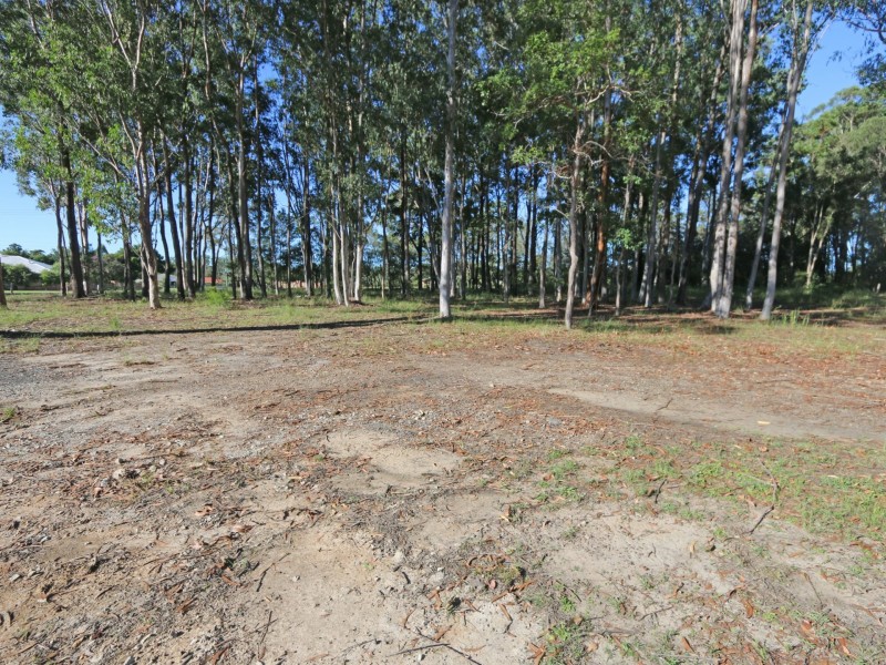 Lot 101 Mahogany Drive, Gulmarrad NSW 2463