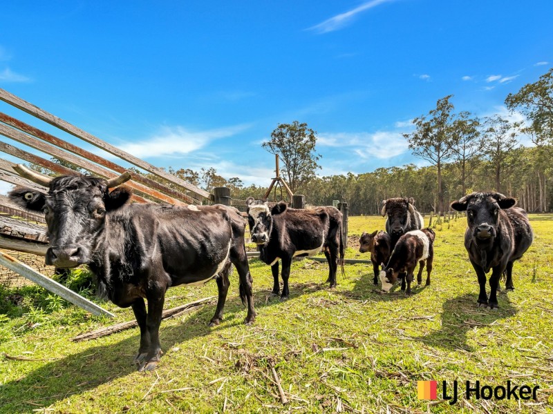 23 Gardiners Road, Townsend NSW 2463