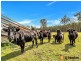 23 Gardiners Road, Townsend NSW 2463