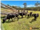 23 Gardiners Road, Townsend NSW 2463