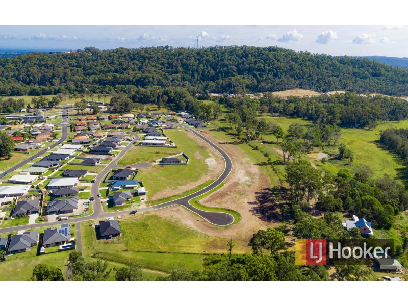 Lot 115 Scullin Street, Townsend NSW 2463