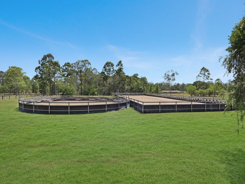 38 Clyde Essex Drive, Gulmarrad NSW 2463