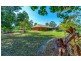 1 Parklands Drive, Gulmarrad NSW 2463