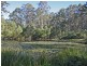 937 Tullymorgan Road, Tullymorgan NSW 2463