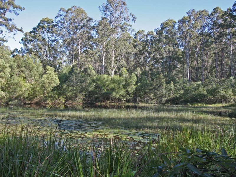 937 Tullymorgan Road, Tullymorgan NSW 2463