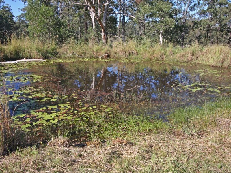 937 Tullymorgan Road, Tullymorgan NSW 2463