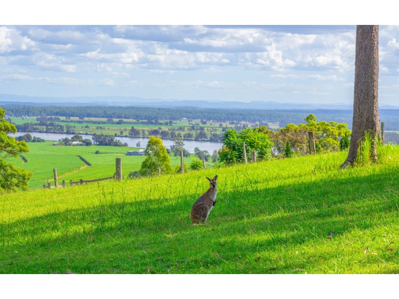 10 Sunset Close, Ashby NSW 2463