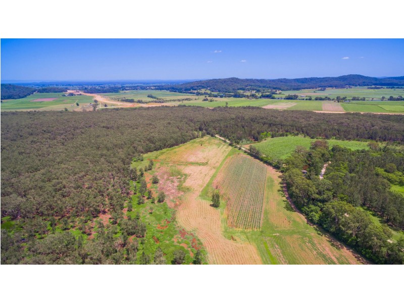 Lot 1 Byrons Lane, Tyndale NSW 2460
