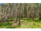 Lot 2 Byrons Lane, Tyndale NSW 2460