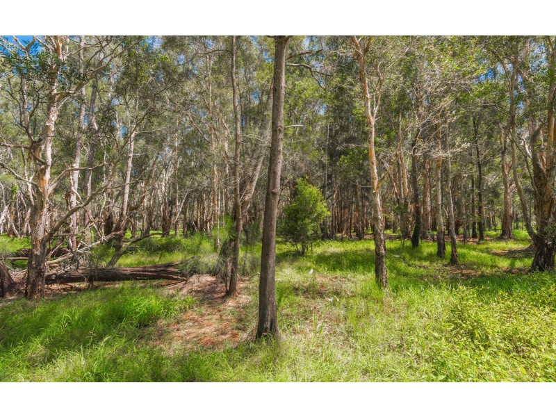 Lot 2 Byrons Lane, Tyndale NSW 2460