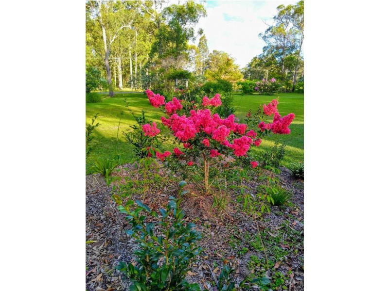 Gulmarrad NSW 2463