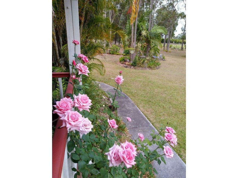 Gulmarrad NSW 2463