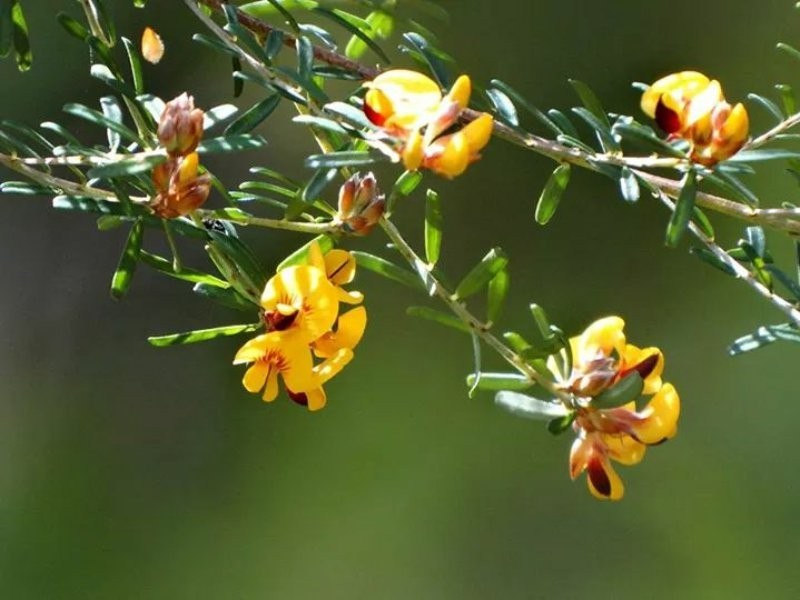 190 Crisp Drive, Ashby NSW 2463