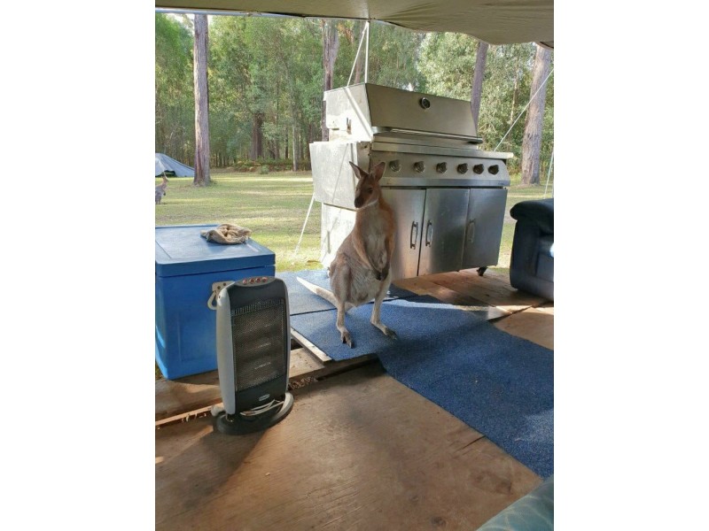 190 Crisp Drive, Ashby NSW 2463