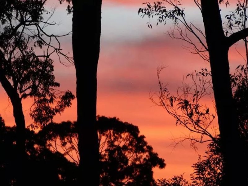 190 Crisp Drive, Ashby NSW 2463