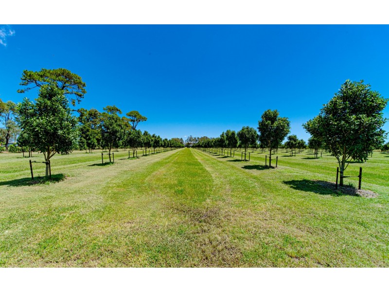 13 School Road, Palmers Island NSW 2463