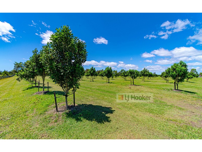 13 School Road, Palmers Island NSW 2463