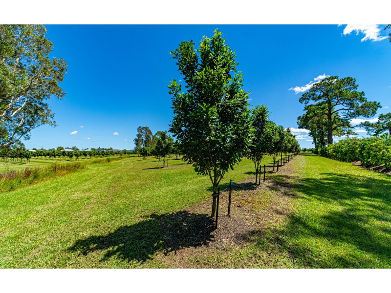 13 School Road, Palmers Island NSW 2463