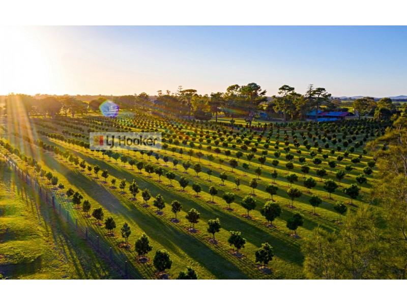 13 School Road, Palmers Island NSW 2463