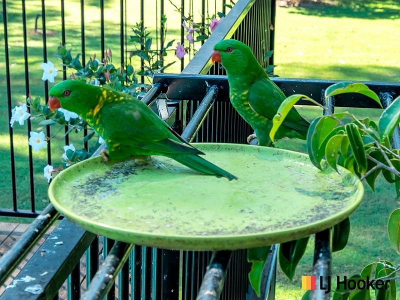 4 Lismore Street, Ashby NSW 2463